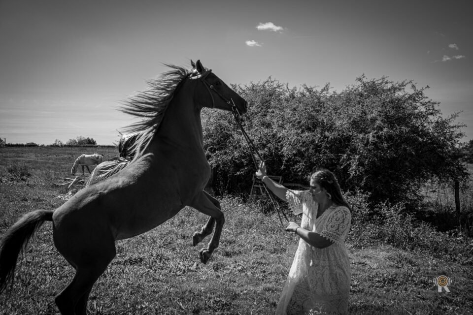 Séance équestre lifestyle en Occitanie. Rufino Studio.