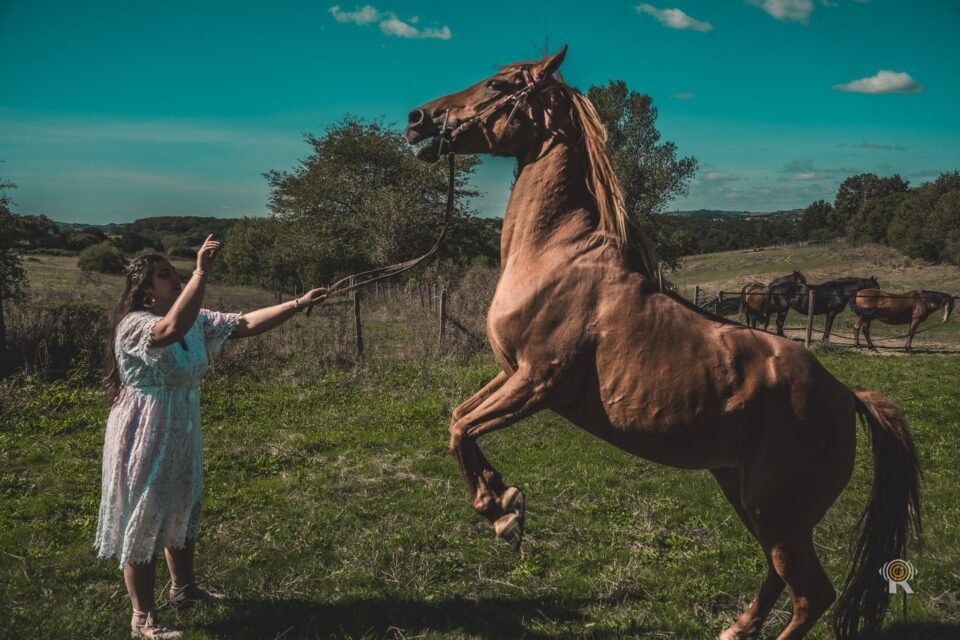 Séance équestre lifestyle en Occitanie. Rufino Studio.