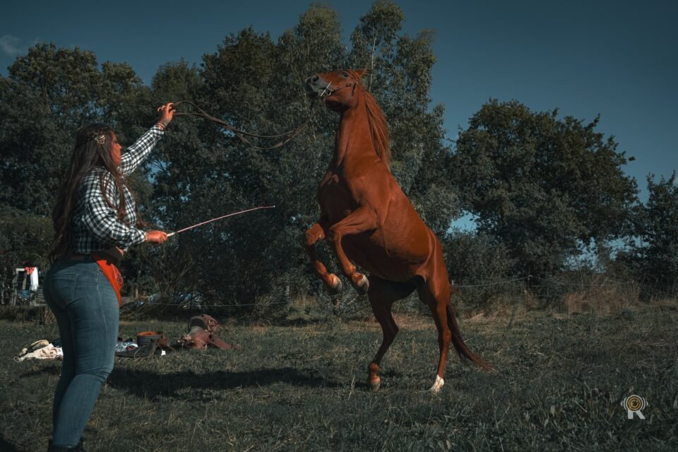 Séance équestre lifestyle en Occitanie. Rufino Studio.