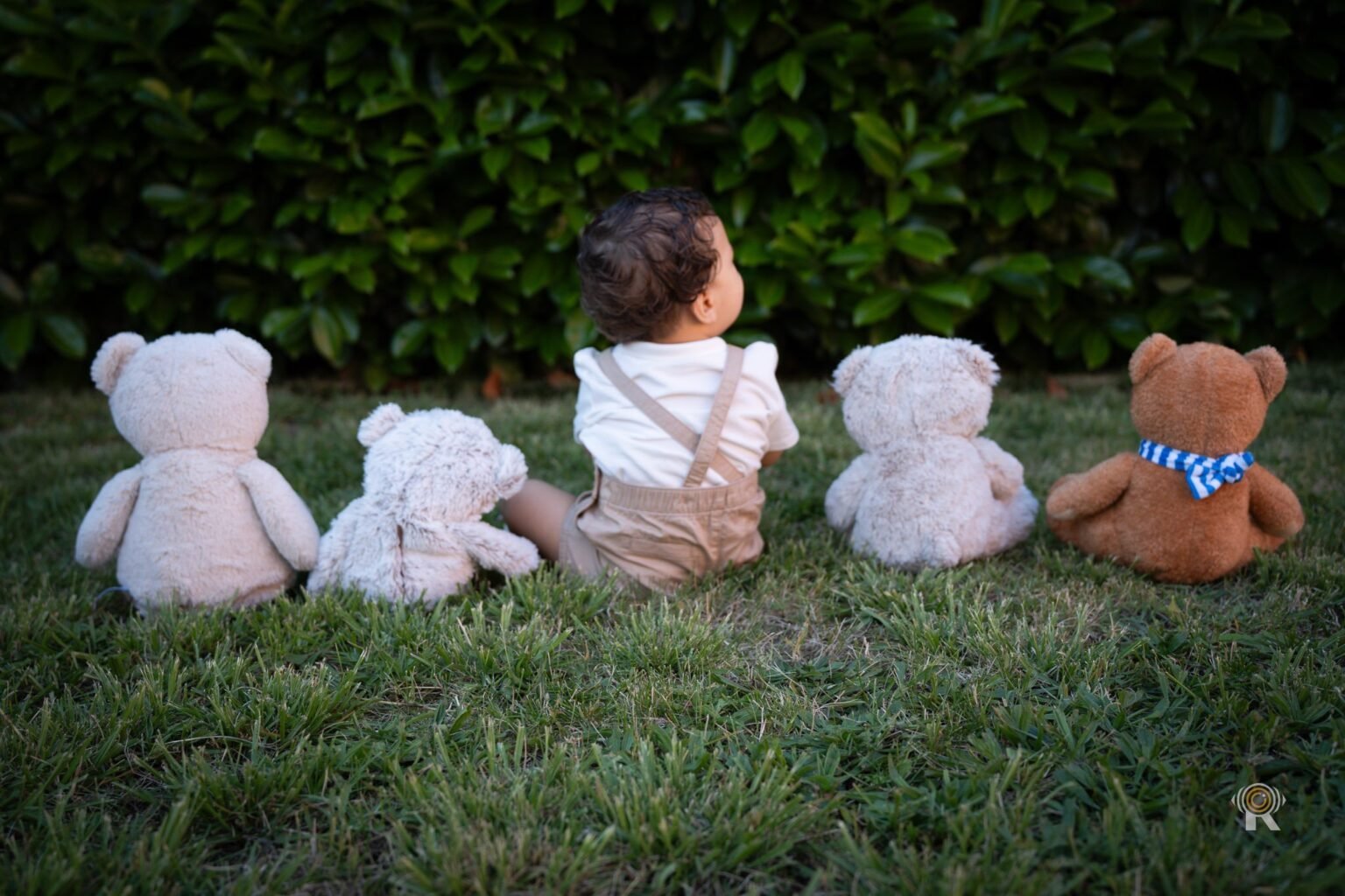 Un bébé assis dans l'herbe parmi des peluches, vu de dos.