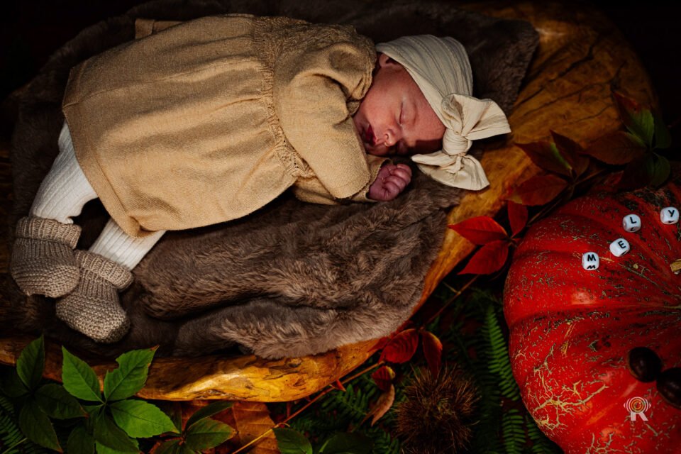 Séance Photo Bébé et Naissance