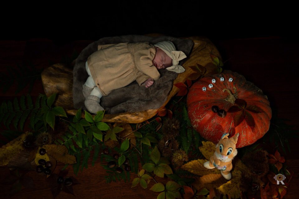 Séance Photo Bébé et Naissance